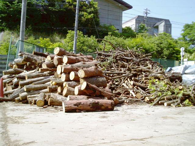 20100522